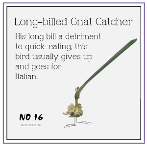 ppNovember16th-harrop