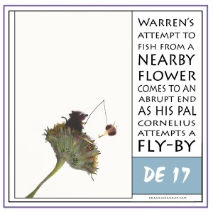 ppDecember17th-harrop