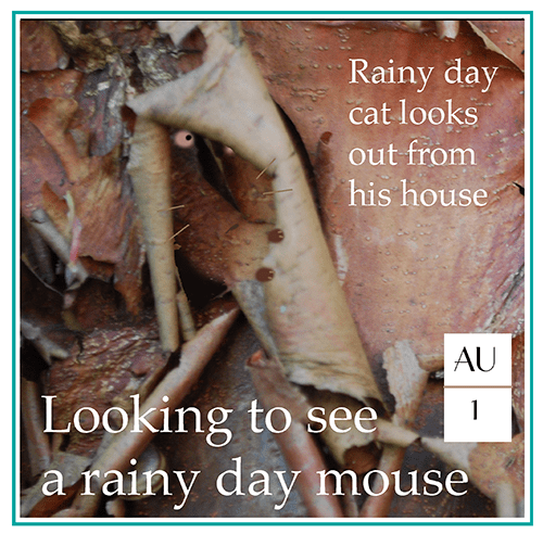 ppAugust1-harrop copy.png