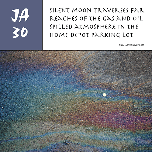 ppJanuary30th-harrop