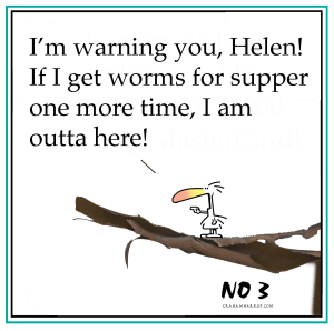 ppNovember3rd-harrop