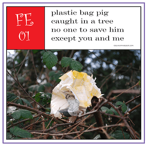 ppFebruary1st-harrop