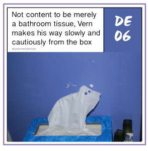 ppDecember6th-harrop