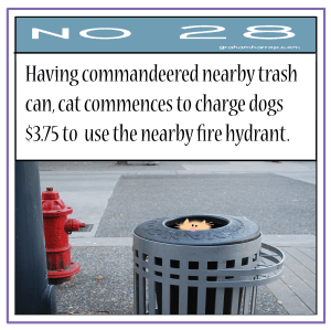 ppNovember28th-harrop