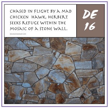 ppDecember16th-harrop