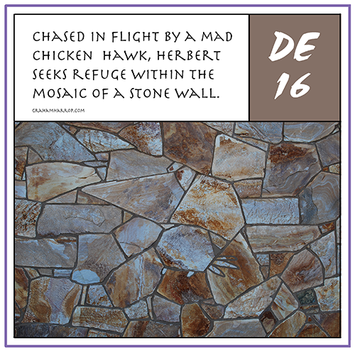 ppDecember16th-harrop copy.png