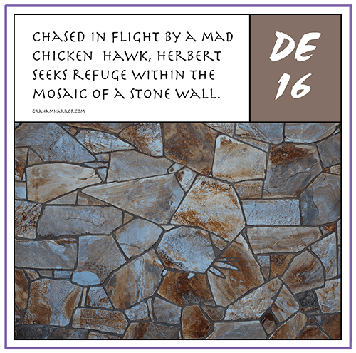 ppDecember16th-harrop copy.png