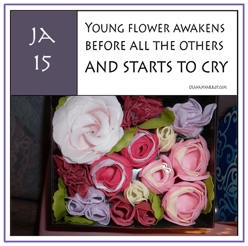 ppJanuary15th-harrop