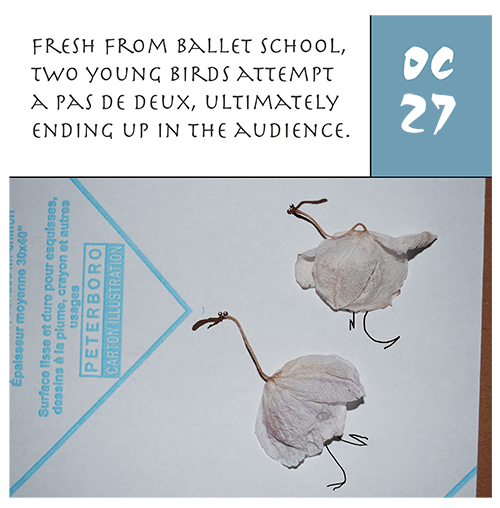 ppoctober27th-harrop