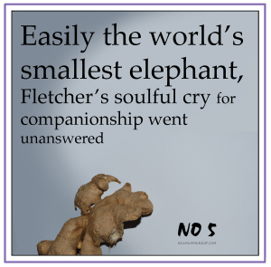 ppNovember5th-harrop copy