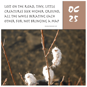 ppOctober25th-harrop