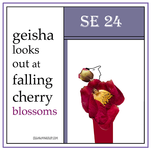 ppseptember24th-harrop-copy