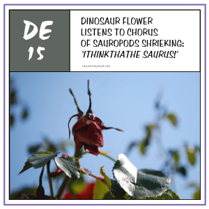 ppDecember15th-harrop