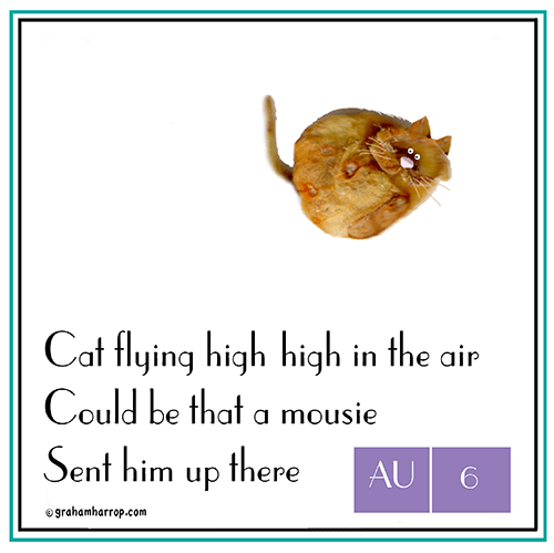 ppAugust6-harrop copy.png