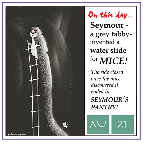 ppAugust21st-harrop copy.png