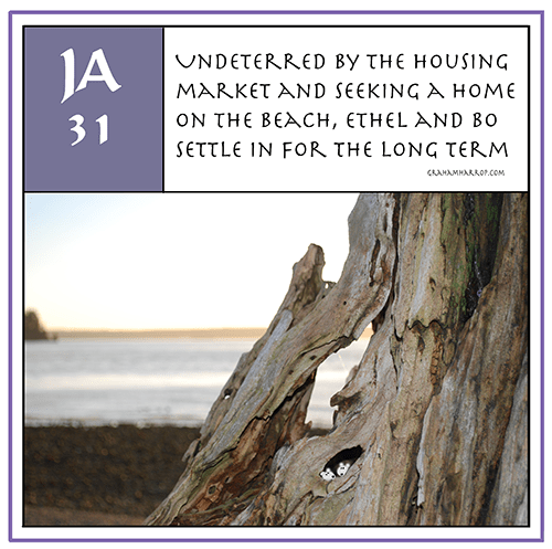 ppJanuary31st-harrop