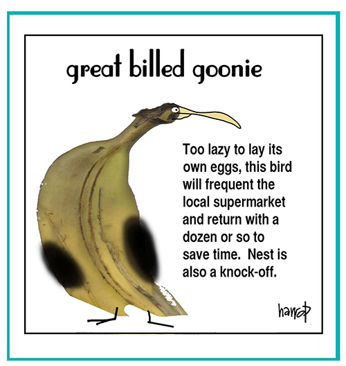 ppJanuary10th-harrop