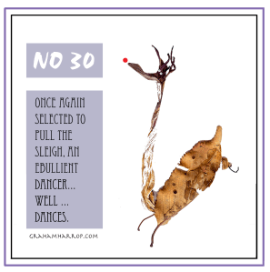 ppNovember30th-harrop