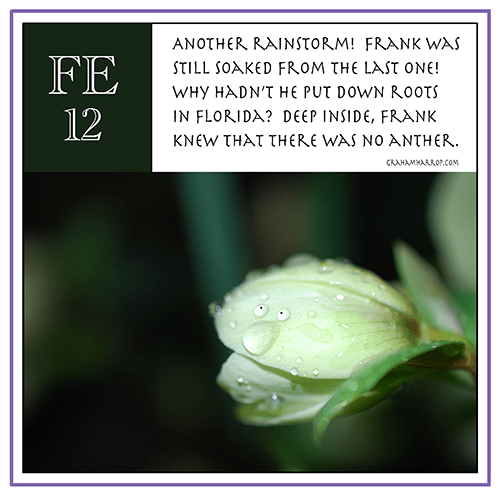 ppFebruary12th-harrop