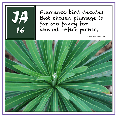 ppjanuary16th-harrop