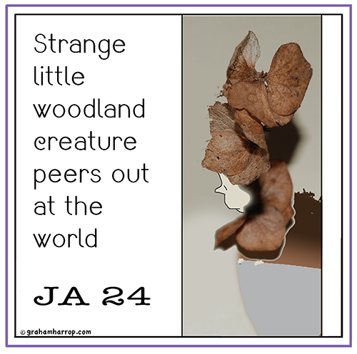 ppJanuary24th-harrop