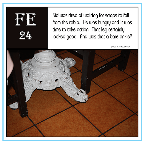 ppFebruary24th-harrop