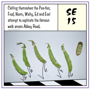 potpourriSeptember15th