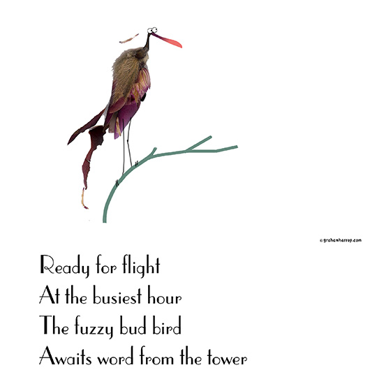 ppDecember28th-harrop