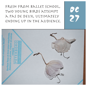 ppOctober27th-harrop