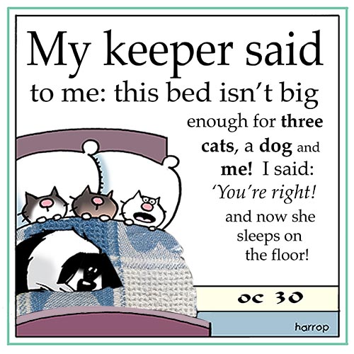 ppoctober30th-harrop