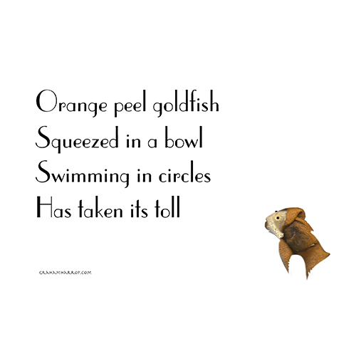 ppNewJanuary4th copy