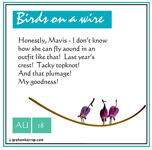 ppAugust18th-harrop copy.png