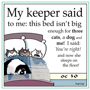 ppOctober30th-harrop